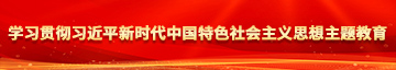 小黄文操学习贯彻习近平新时代中国特色社会主义思想主题教育